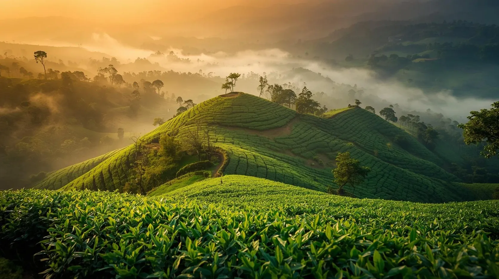 Panorama of Sri Lanka's hill-country tea regions with misty mountain ridges and terraced gardens